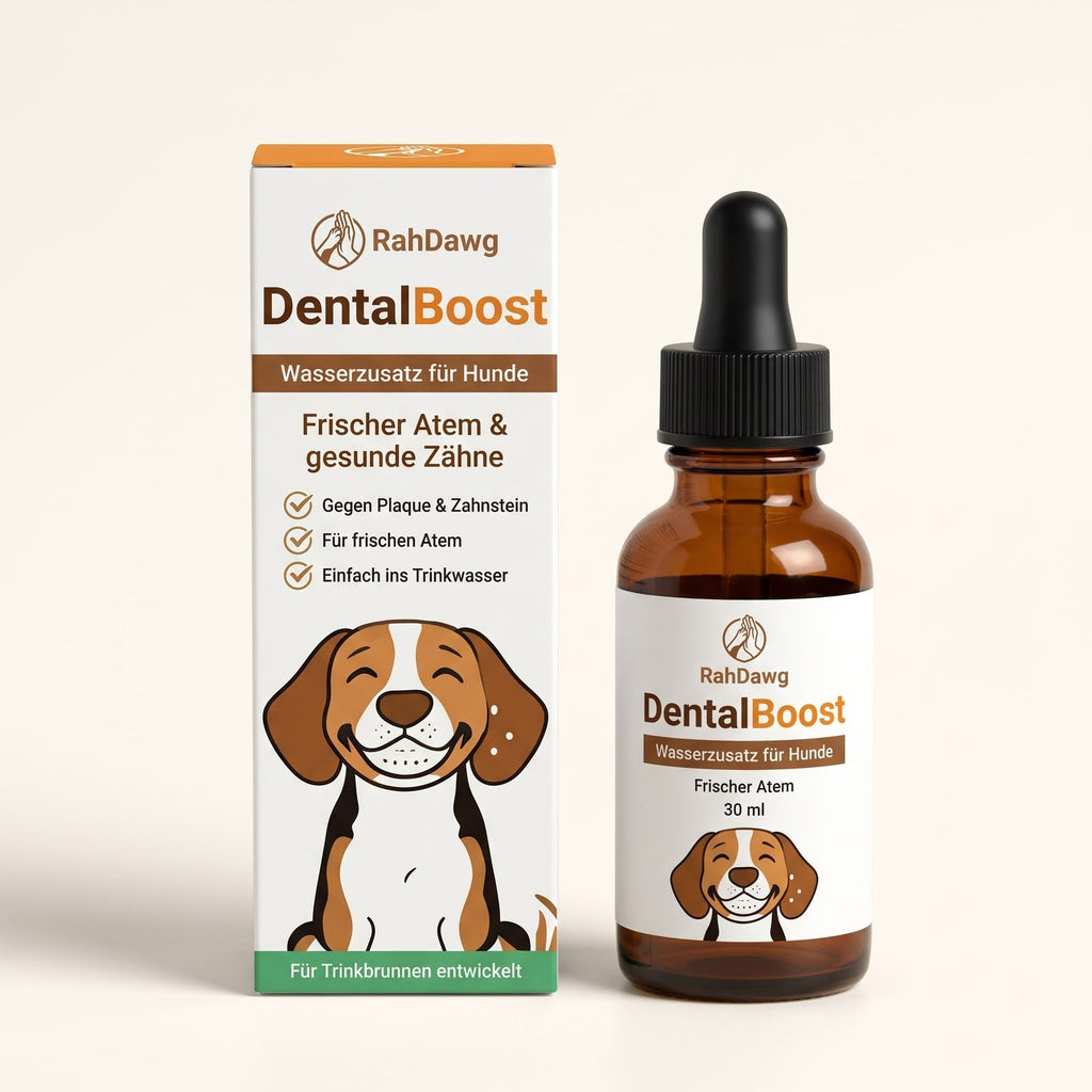 Nassly™ DentalBoost Wasserzusatz
